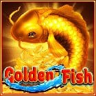 Golden Fish screenshot